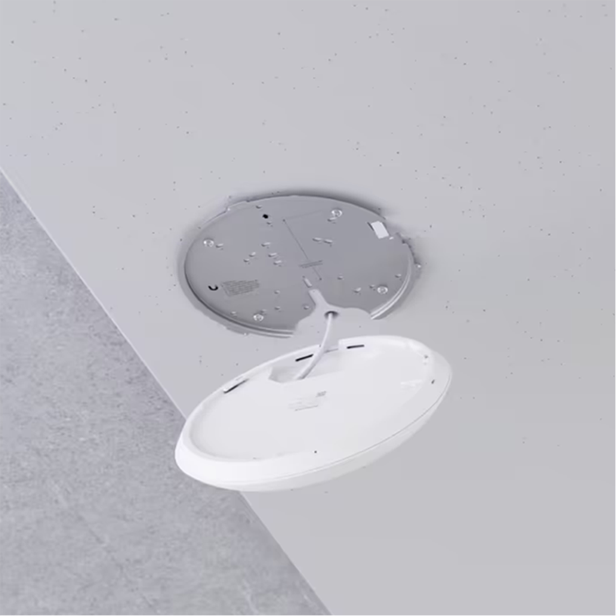 UniFi 7 Professional