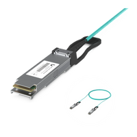 QSFP28-connector van de AOC-kabel close-up