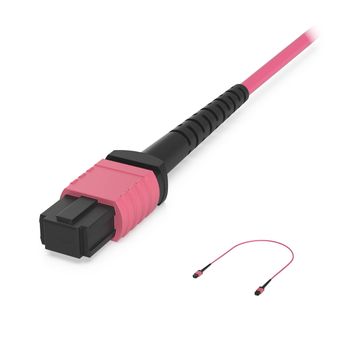 MPO-12 connector close-up