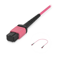 MPO-12 connector close-up