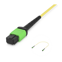 MPO-12 Type B APC-connector