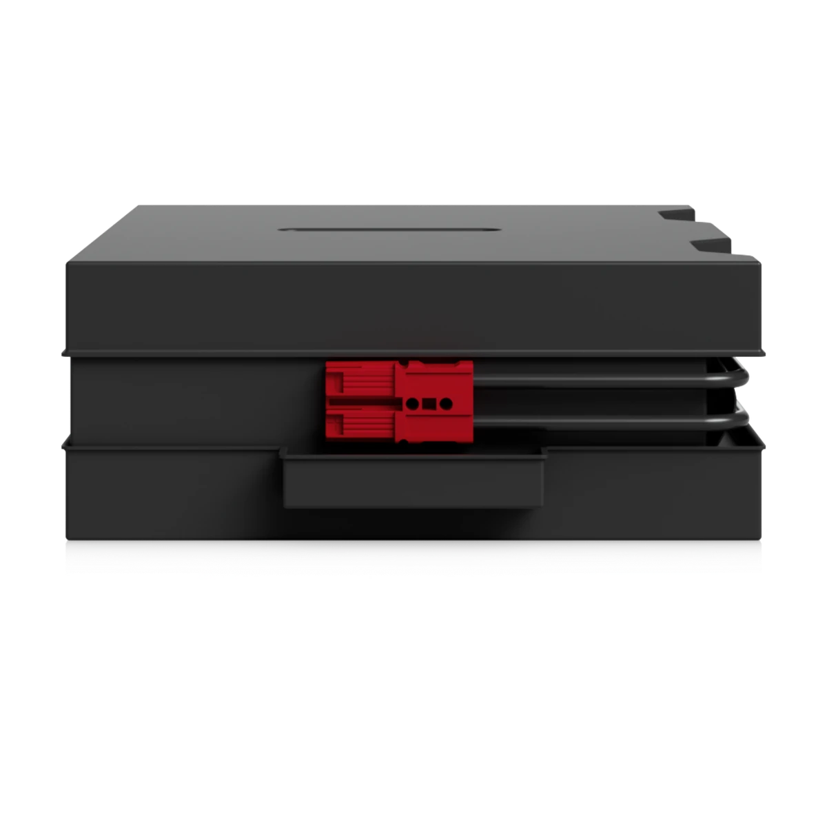 UPS 2U Battery met rode aansluiting